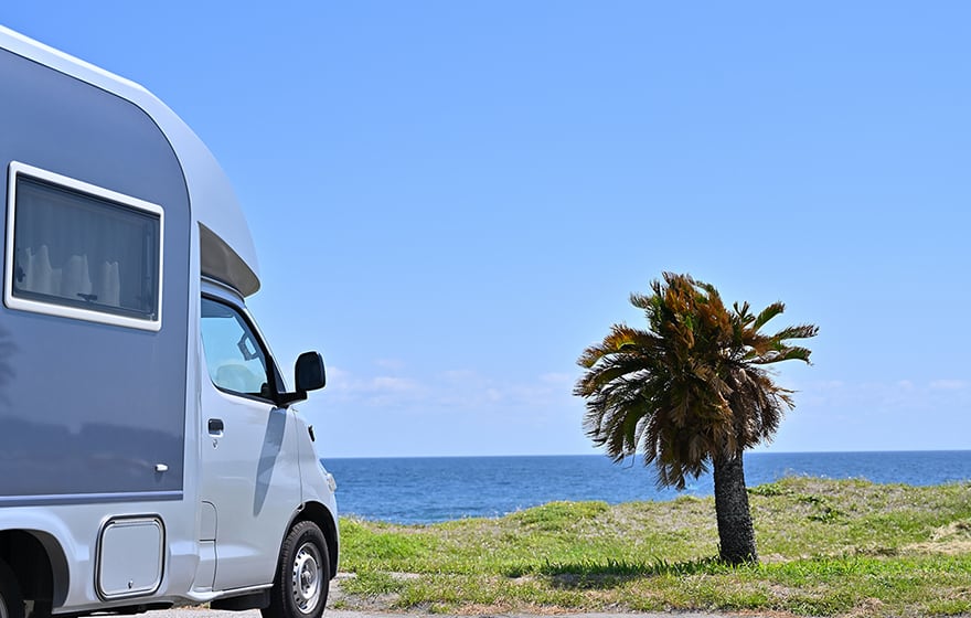 ギャラリー写真