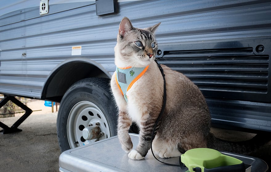 ギャラリー写真